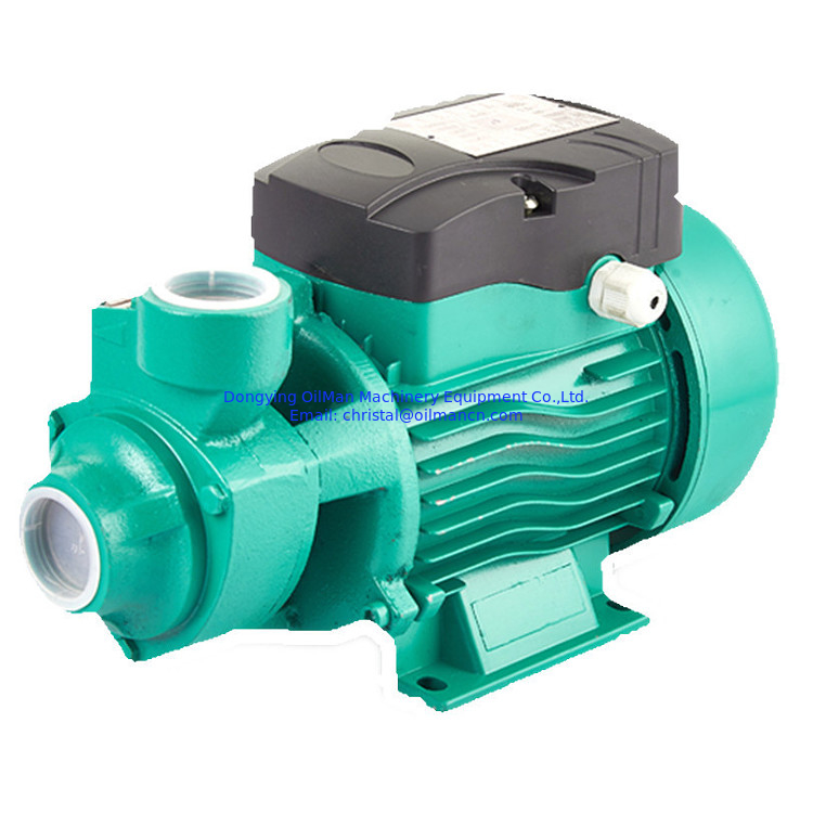 Melhor preço 1 polegada 220 volts Qb60 0,5 hp 0,75 hp 1 hp Doméstico jardim motor elétrico bomba de água vórtice